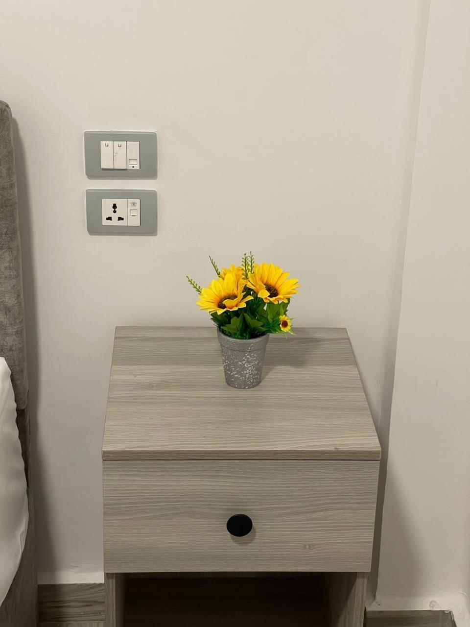 Park Plaza Hotel 카이로 외부 사진